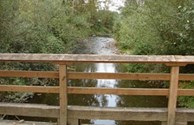Friday Creek