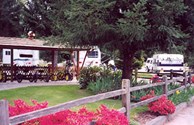 Spring at KOA