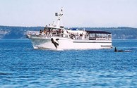 Go Whale Watching