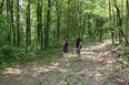 Hiking Photo