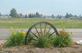 WAGON WHEEL AT ENTRY