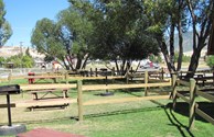 TENT AREA