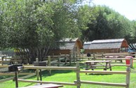 TENT AREA