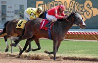 Horseracing and Gaming at its best!