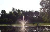 Fish our 2.5 acre stocked pond!