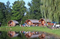 Camp in a cozy cabin!