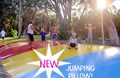 NEW JUMPING PILLOW 2011