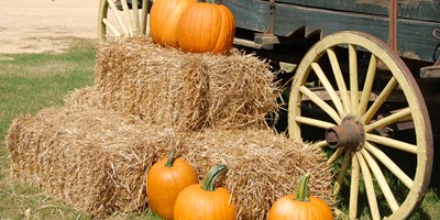 7 Family-Friendly Fall Activities in Canton, TX