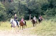 Horseback Riding & Pony Rides