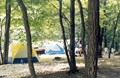 Wooded Tent Sites with water and electric