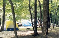 Wooded Tent Sites with water and electric