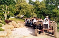 Hayrides