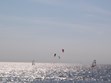 Windsurfing Photo