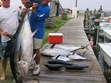 Charter Fishing Photo