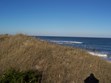Thanksgiving Weekend November 23 - 25 Photo