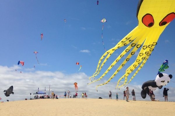 Annual Rogallo Kite Festival Photo