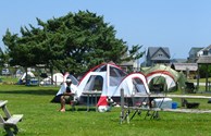 Large, grassy tent sites