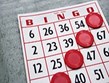 Bingo Photo