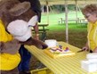 Sept. 21-22:  Kozzy's Birthday Photo