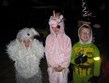 Oct. 5-7:  Halloween / Thanksgiving Photo
