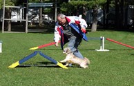 Dog-Approved!