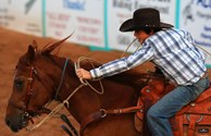 Seasonal Rodeos