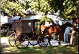 Amish Country Photo