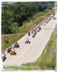 A National Road Spring Festival Photo
