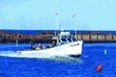 Aiden's Deep-Sea Fishing/Fish Market Photo