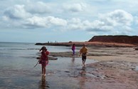 Beach Fun