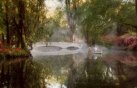 Magnolia Plantation and Gardens