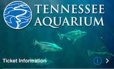 Tennessee Aquarium - Chattanooga