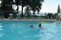 Enjoy a Cool Dip in the Pool