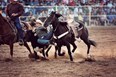 Duvall's Annual Steer Wrestling Jackpot Photo