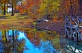Fall Colors (Photo courtesy of BJK Photography)