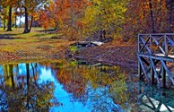 Fall Colors (Photo courtesy of BJK Photography)