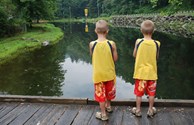 Try to catch a fish in our trout ponds