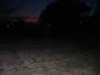 Flashlight Candy Hunt Photo