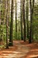 August 10-12:  Nature Weekend Photo