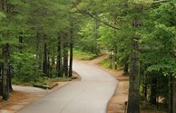 Road to Solitude