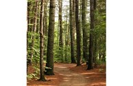 River Run Trail