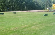 Horseshoes on the front lawn