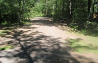 New Pull Thur Sites in the Woods