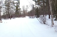 Back loop of Campground with view of a few of Cabins