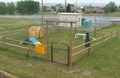 Pet Playground