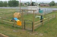 Pet Playground