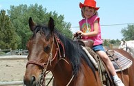 Come Ride the Range with our Horses