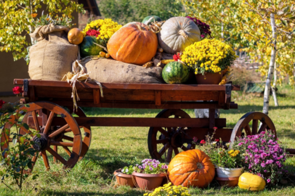 Harvest Hoedown: A Fall Festival Weekend Photo