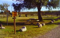 Tent Site