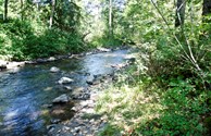 Grandy Creek